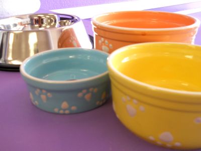 Boutique food bowls