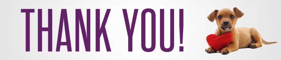 Thank You!